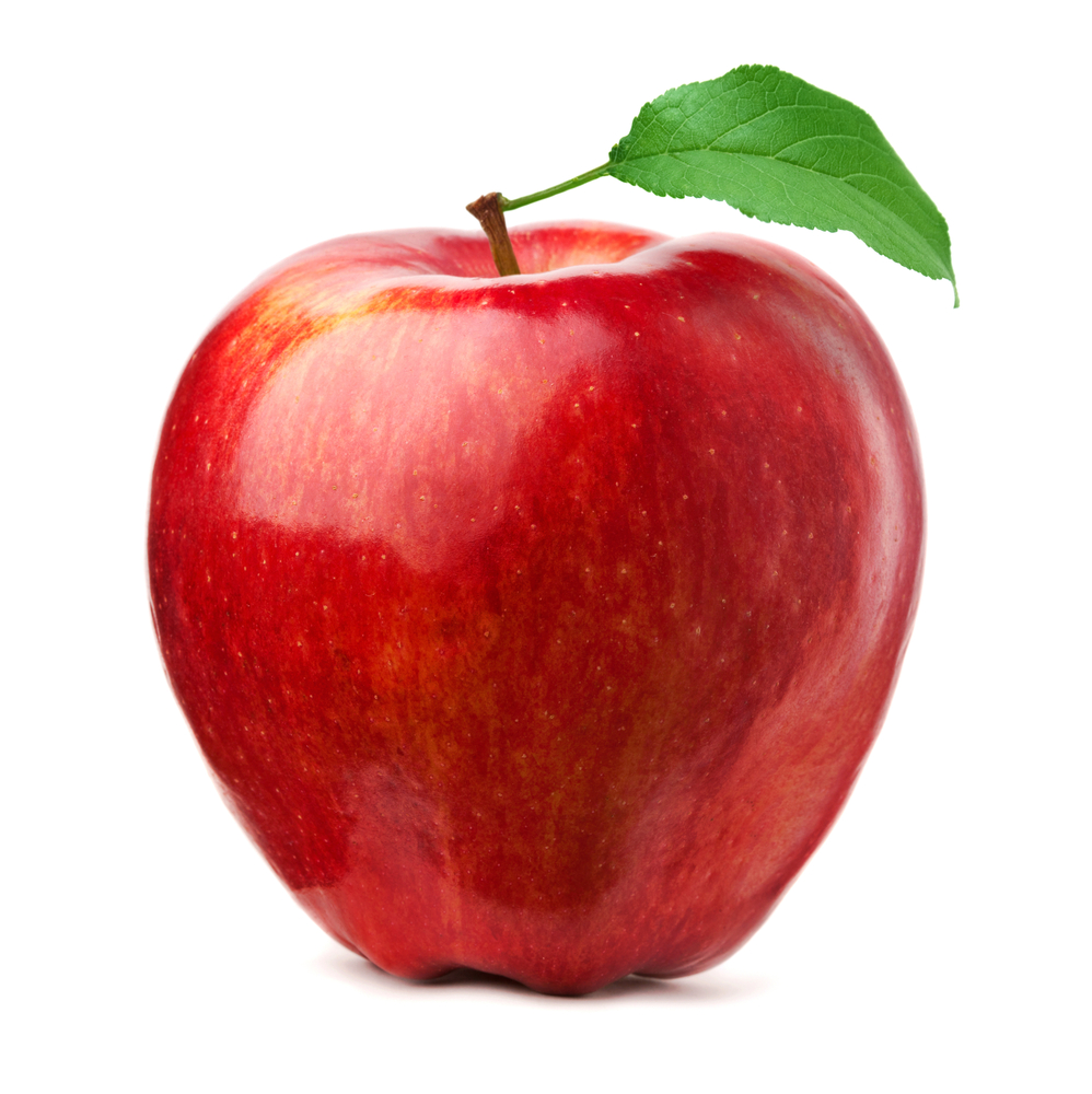 RFP Lunch Proposal